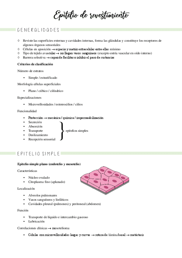 Miniatura del documento 8-9-tejido-epitelial.pdf