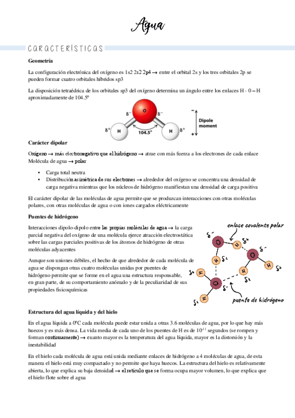 Miniatura del documento 1-agua-e-interacciones-moleculares.pdf