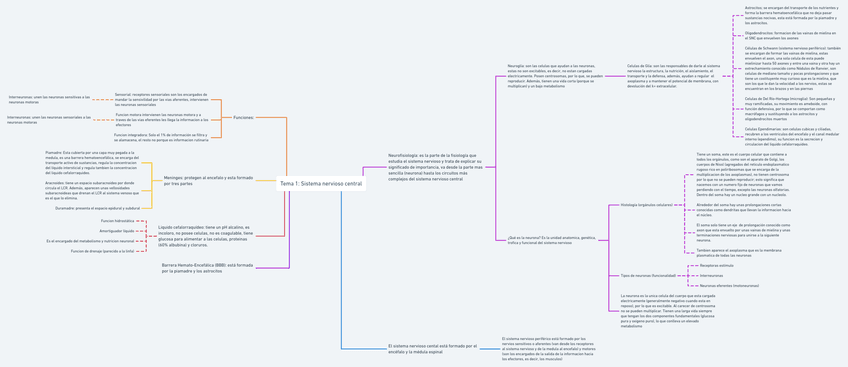 Miniatura del documento Fisiologia-tema-11.png