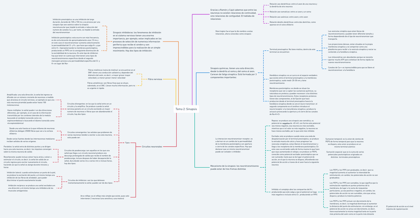 Miniatura del documento Fisiologia-tema-21.png