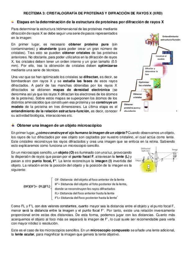 Miniatura del documento tema-3-estructura.pdf