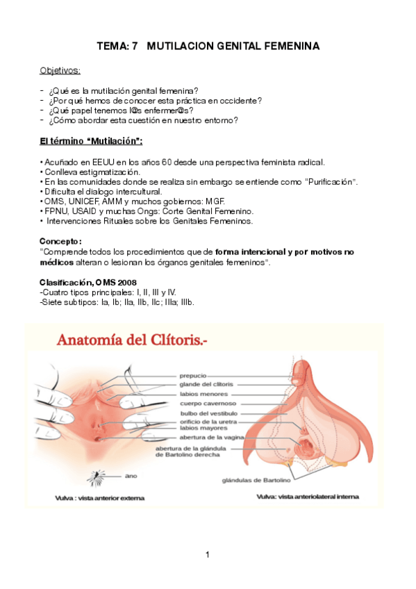 Miniatura del documento Mutilacion-genital-femenina-TRANSCULTURALIDAD.pdf