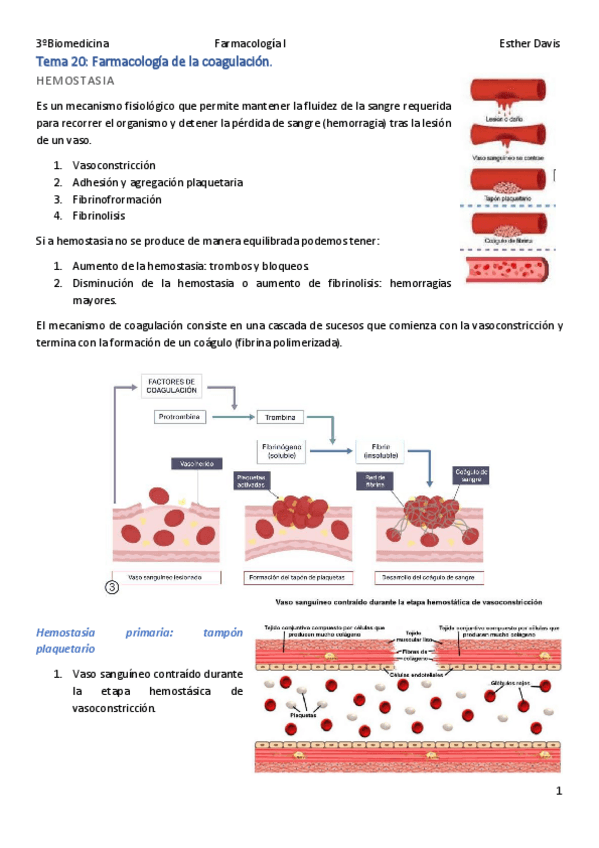 Miniatura del documento Tema-20.pdf