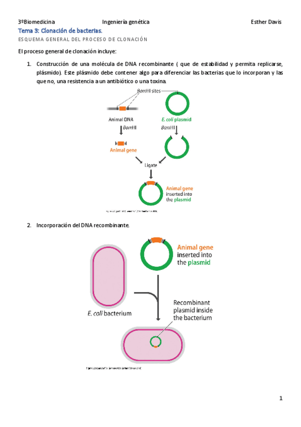 Miniatura del documento Tema-3-IG.pdf