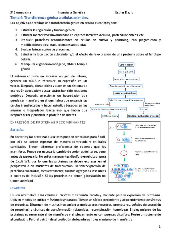 Miniatura del documento Tema-4-IG.pdf