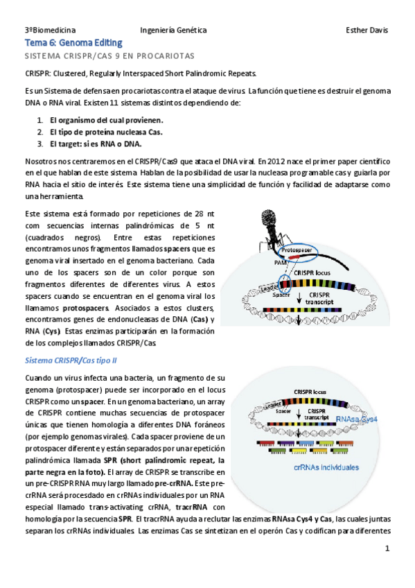 Miniatura del documento Tema-6-IG.pdf