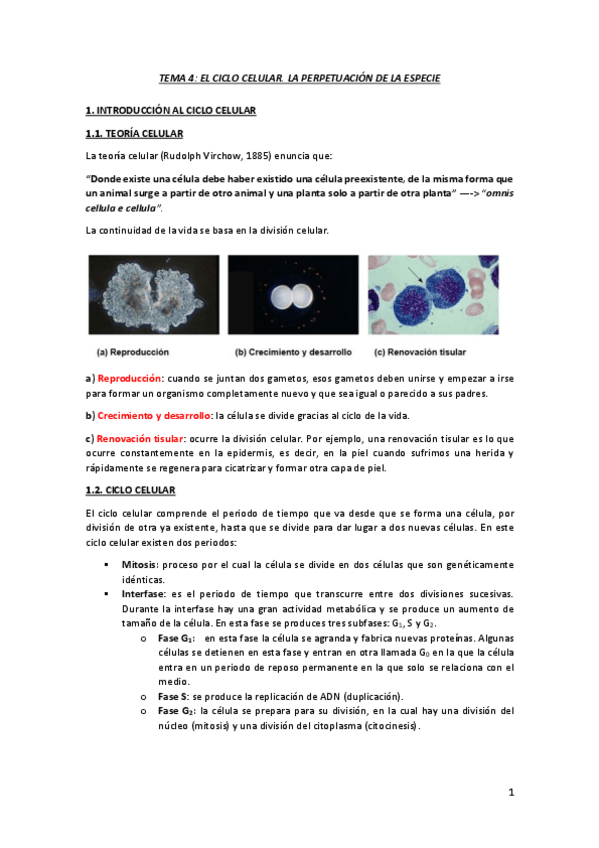 Miniatura del documento TEMA-4.pdf