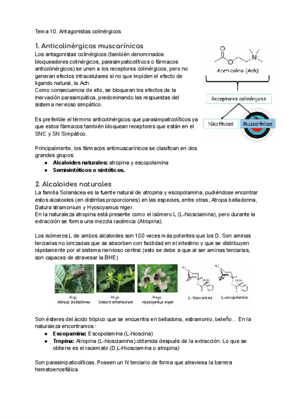 Miniatura del documento Tema-10.pdf