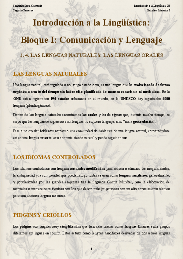 Miniatura del documento 1.pdf