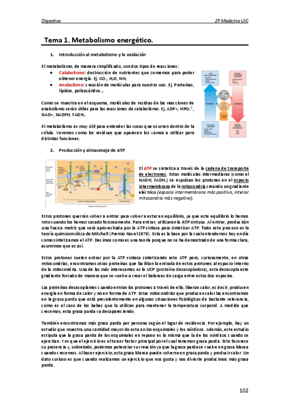 Miniatura del documento Metabolismo.pdf
