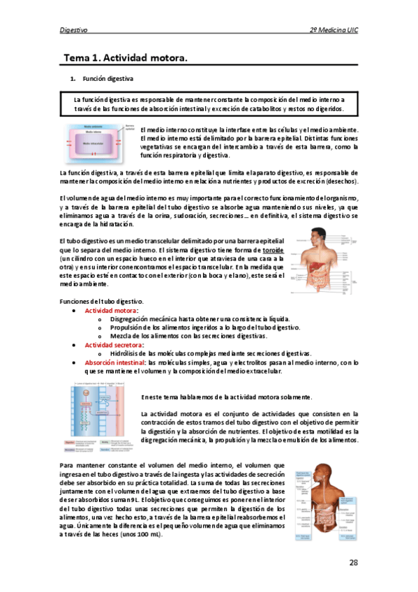 Miniatura del documento Fisiologia-digestivo.pdf