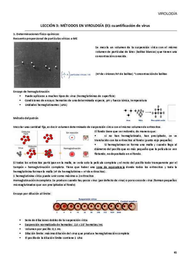 Miniatura del documento TEMA-3-PRACTICAS.pdf