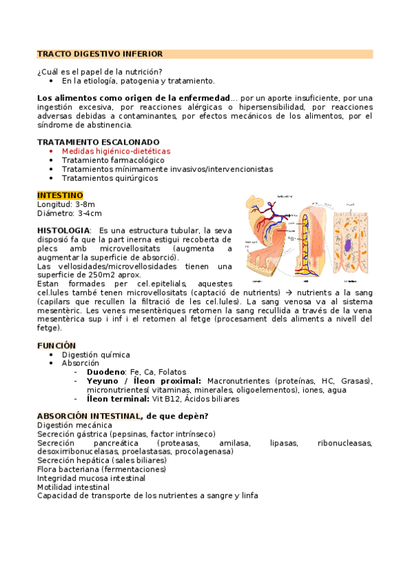 Miniatura del documento FP-TRACTO-DIGESTIVO-INFERIOR.docx