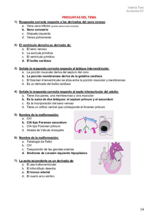 Miniatura del documento kahoot-anato.pdf