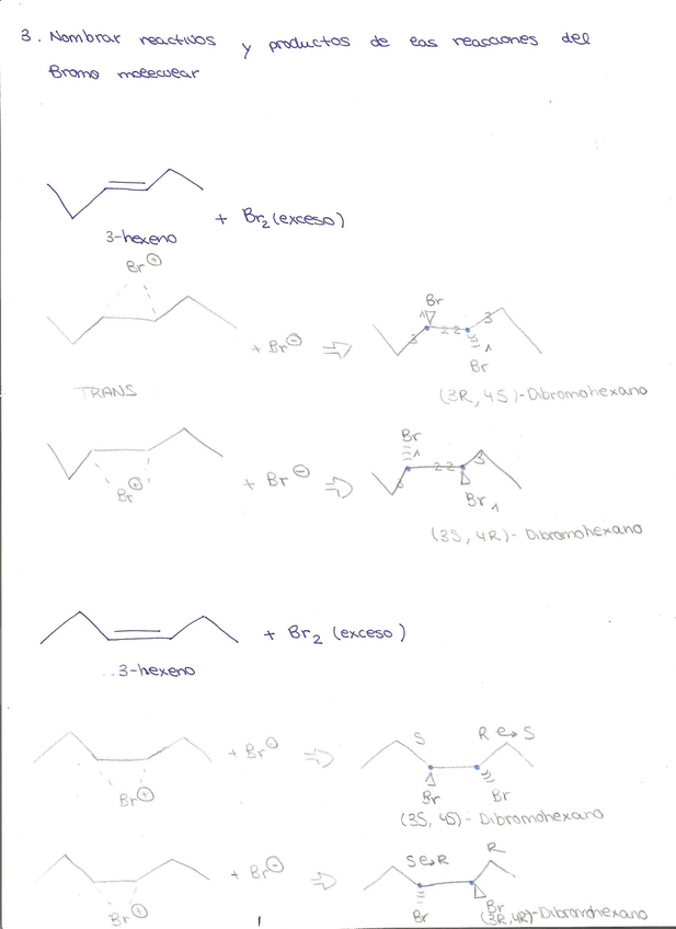 Miniatura del documento 003.jpg