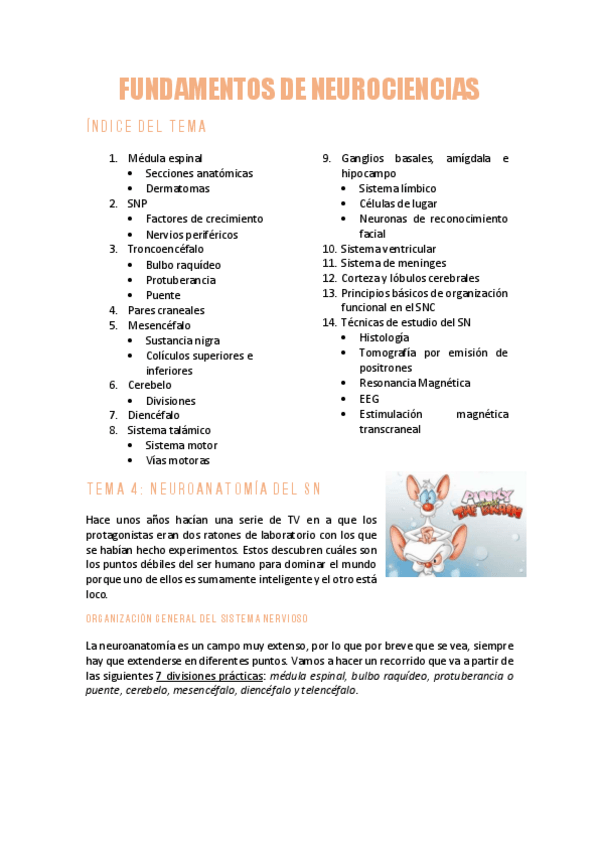 Miniatura del documento NEUROCIENCIAST4Neuroanatomia-del-SN.pdf