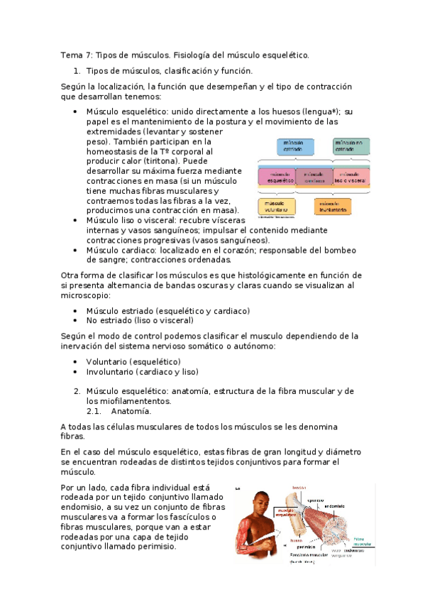 Miniatura del documento Tema-7.docx