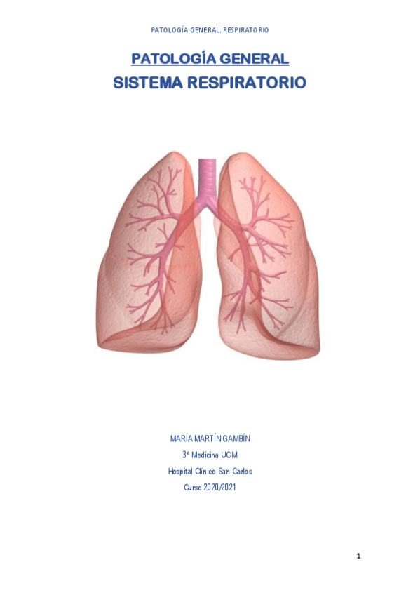 Miniatura del documento PG-RESPIRATORIO-HCSC.pdf