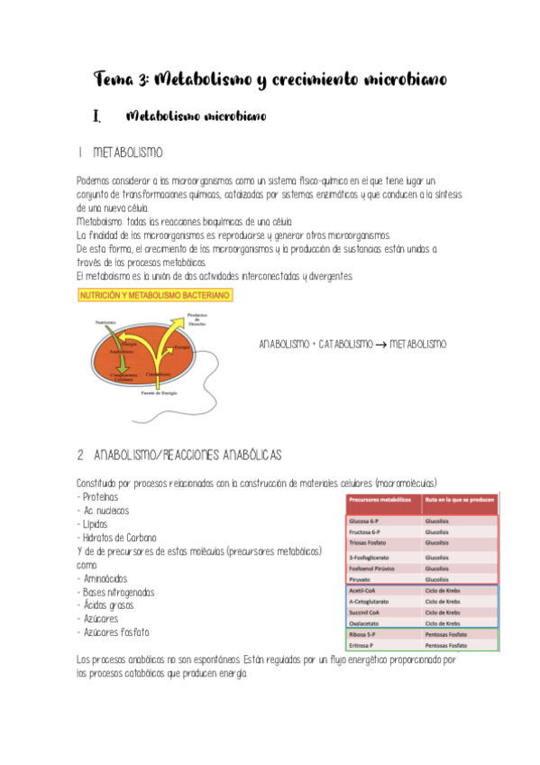 Miniatura del documento Tema-3.pdf