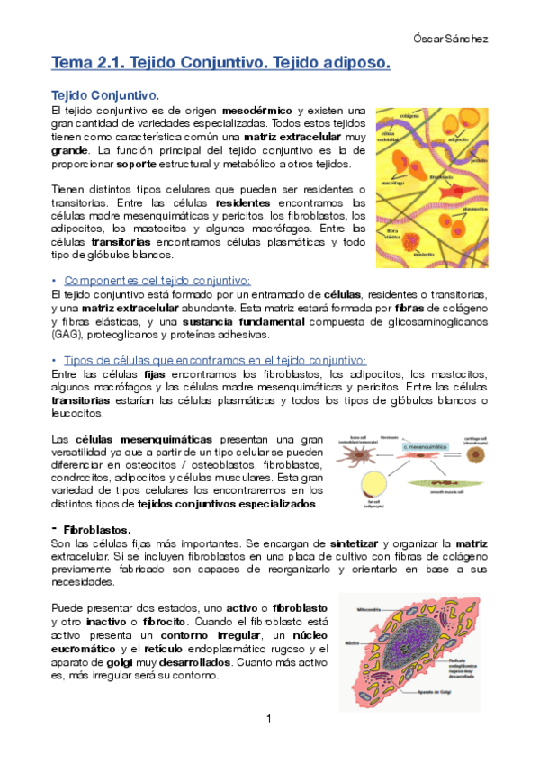 Miniatura del documento Tema 2.1. BCH II.pdf