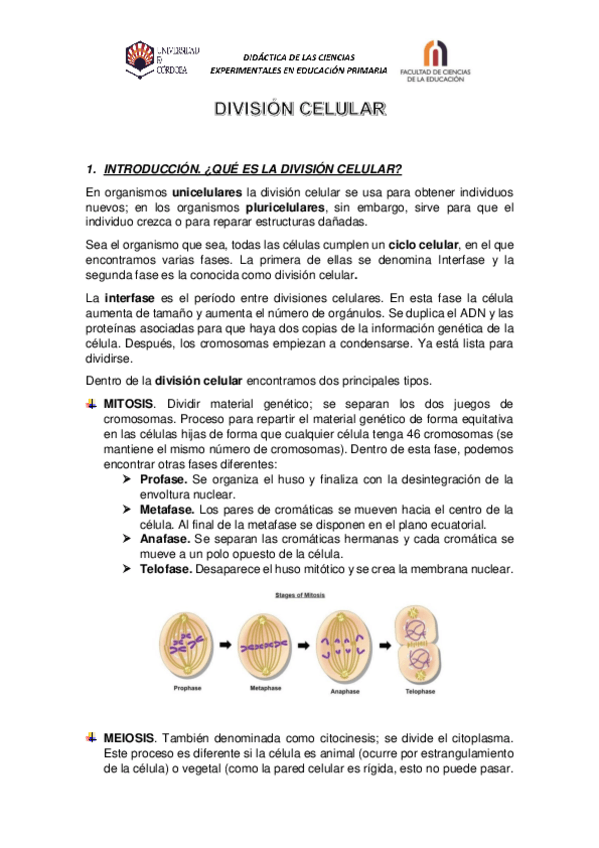 Miniatura del documento DIVISION-CELULAR.pdf