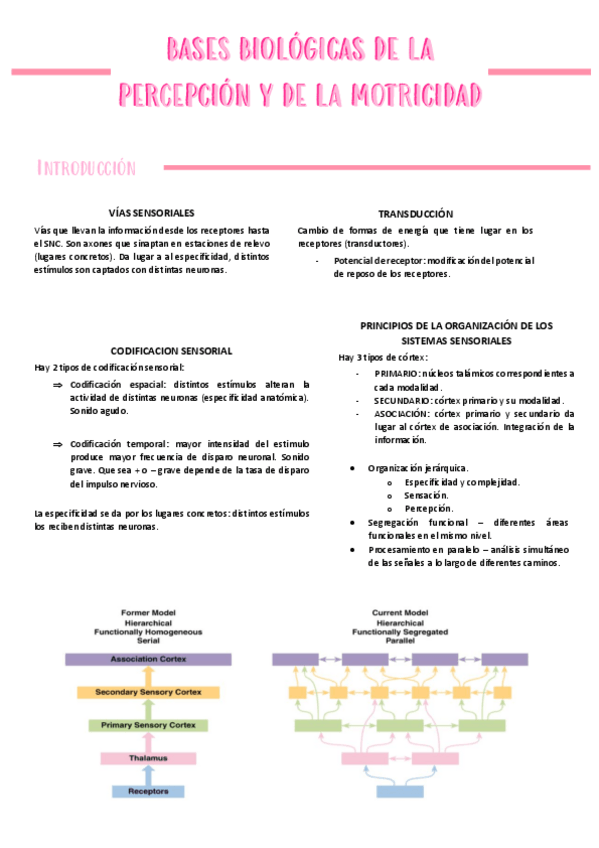 Miniatura del documento TEMA-1.pdf