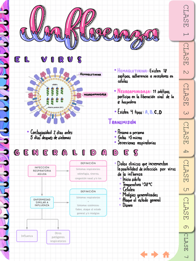 Miniatura del documento INFLUENZA.pdf