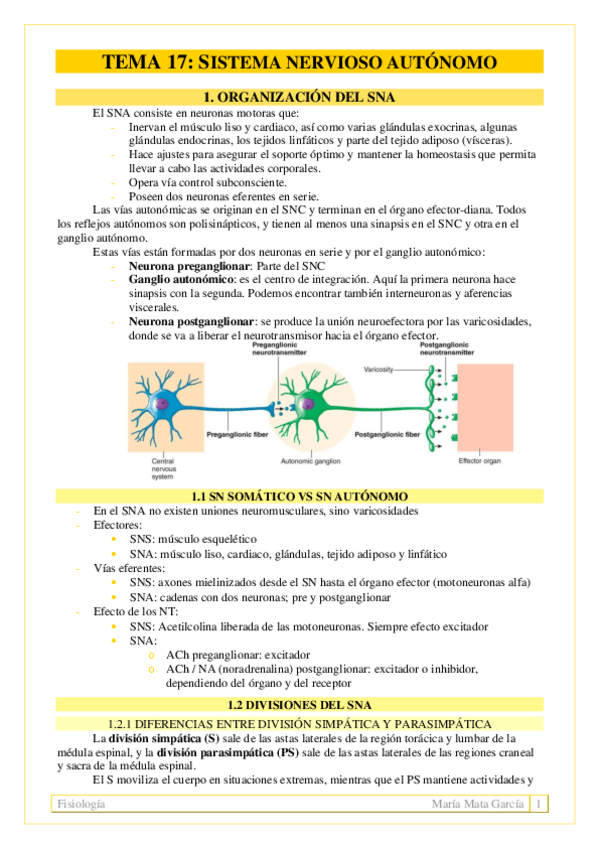 Miniatura del documento TEMA 17. Sistema nervioso autónomo
