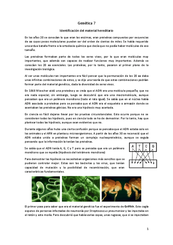 Miniatura del documento Genetica-7.pdf
