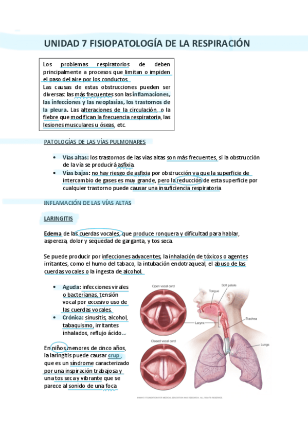 Miniatura del documento UNIDAD-7-FISIOPATOLOGIA-DE-LA-RESPIRACION.pdf