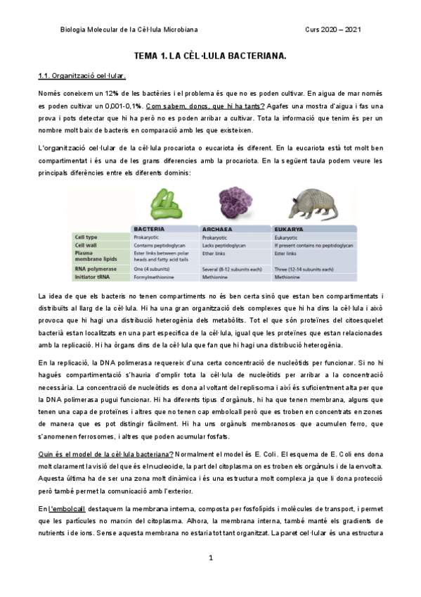 Miniatura del documento BMCM.pdf