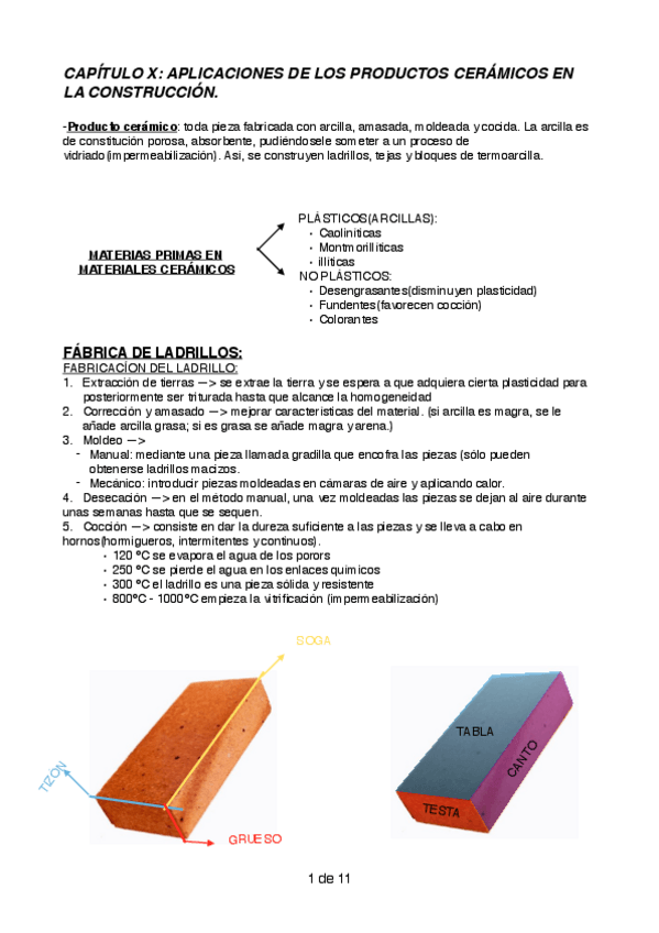 Miniatura del documento CAPITULO X.pdf