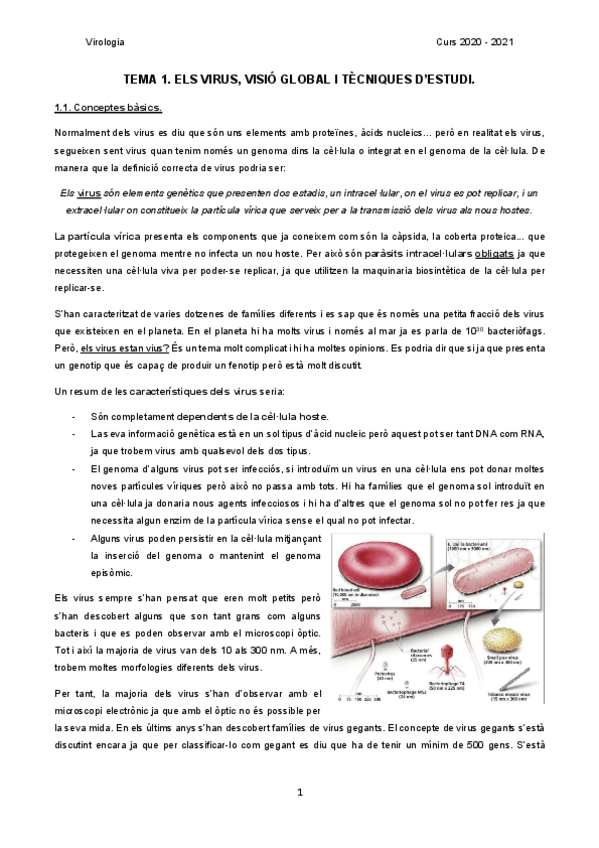 Miniatura del documento VIROLOGIA20-21.pdf