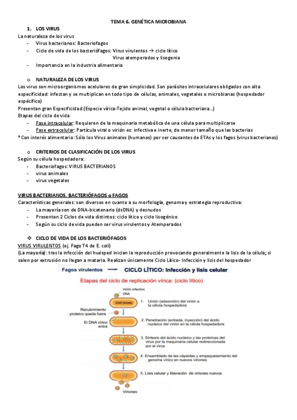 Miniatura del documento TEMA-6-MICRO.pdf