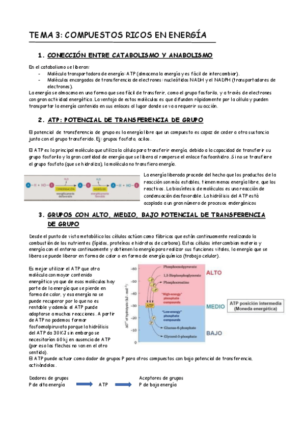 Miniatura del documento TEMA 3.pdf