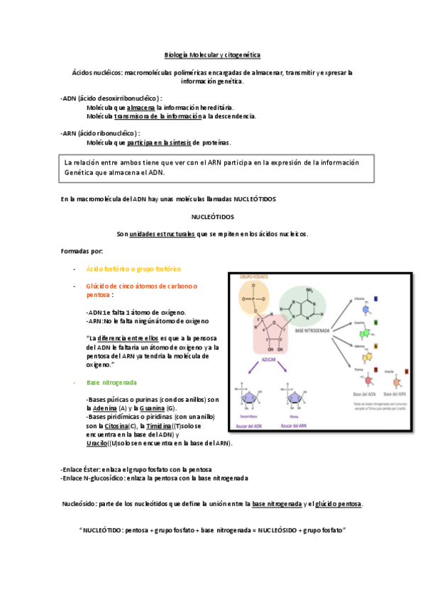 Miniatura del documento Apuntes-BMC-copia.pdf
