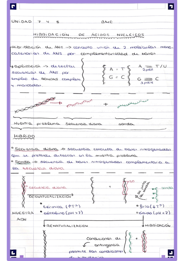 Miniatura del documento ExamenBMC.pdf