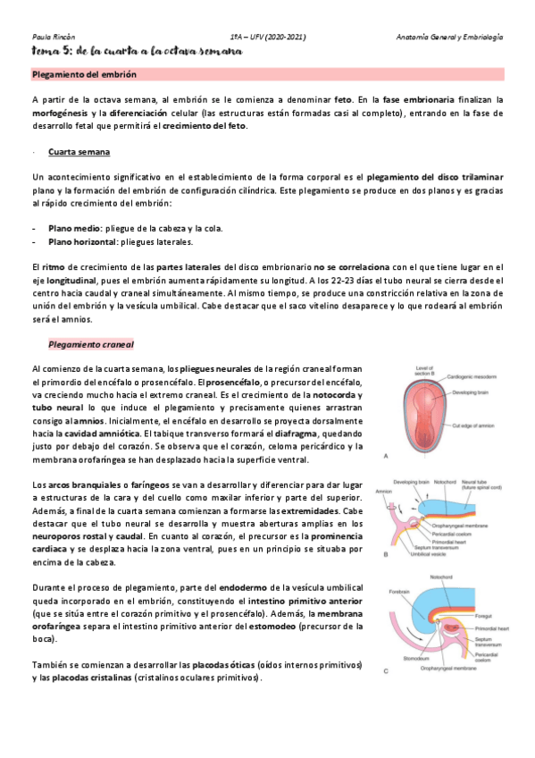 Miniatura del documento Anatomia-T5.pdf