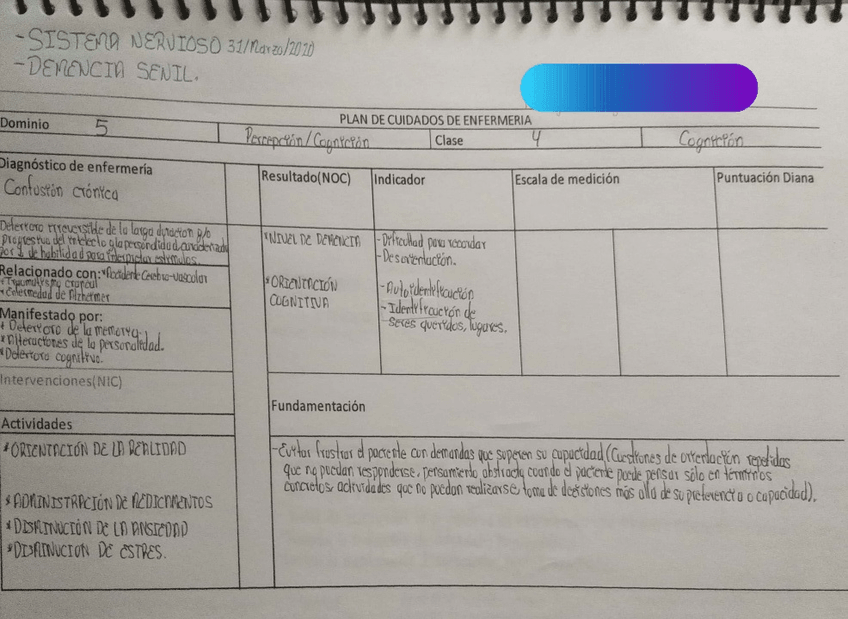 Miniatura del documento PLACE-DEMENCIA-SENIL-sistema-nervioso.jpg