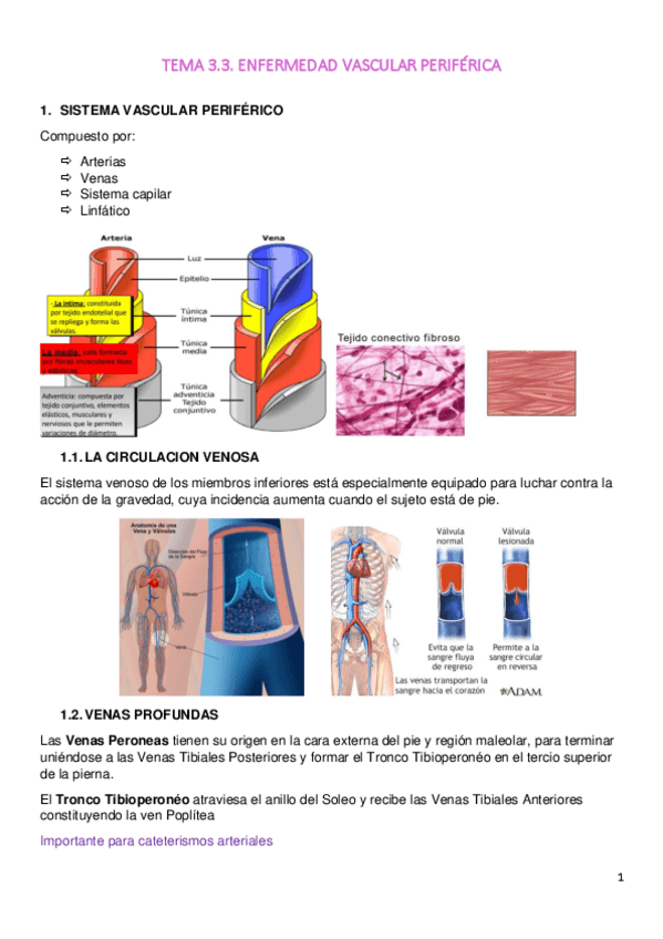 Miniatura del documento TEMA-3.pdf