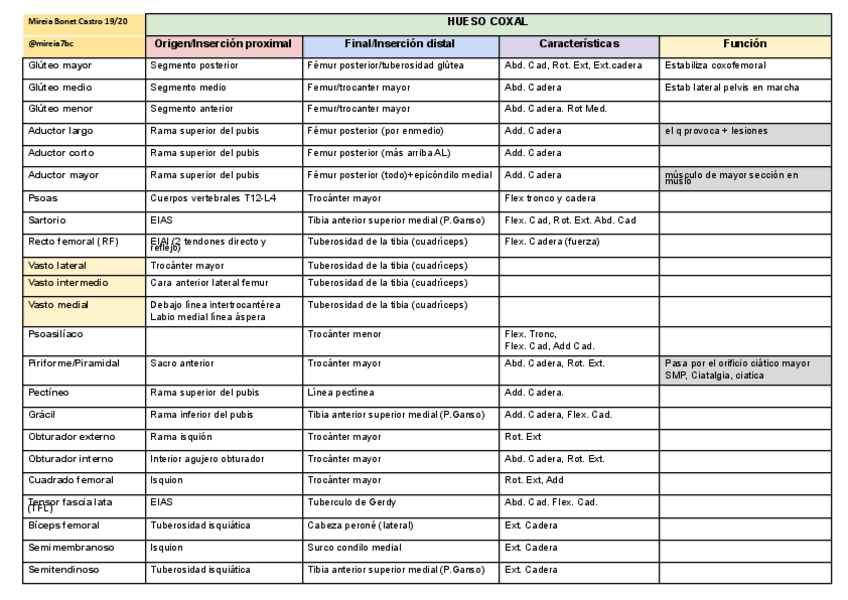 Miniatura del documento TABLAS-ANATO-DEL-LOCOMOTOR.pdf