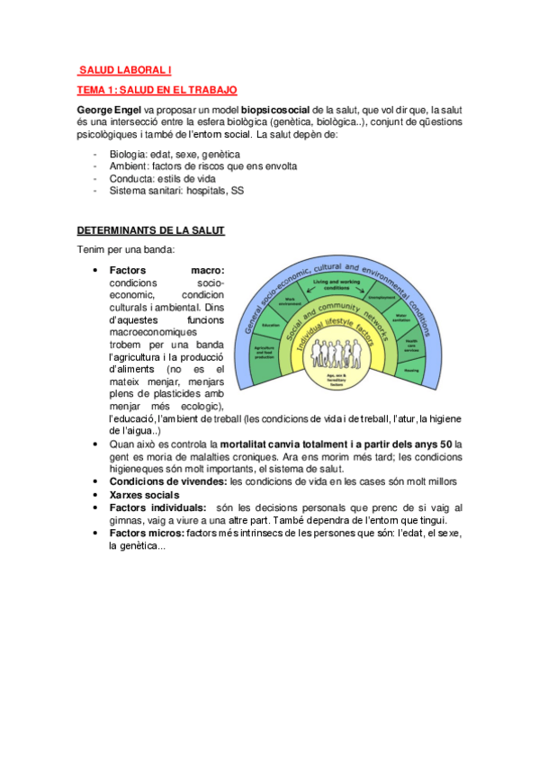 Miniatura del documento SALUD-LABORAL-I.pdf