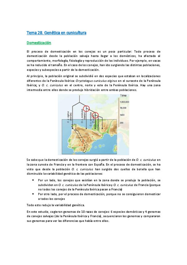 Miniatura del documento Tema-28.pdf