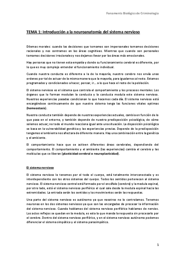 Miniatura del documento TEORÍA.pdf