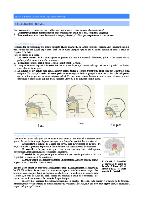 Miniatura del documento Classe-14.pdf