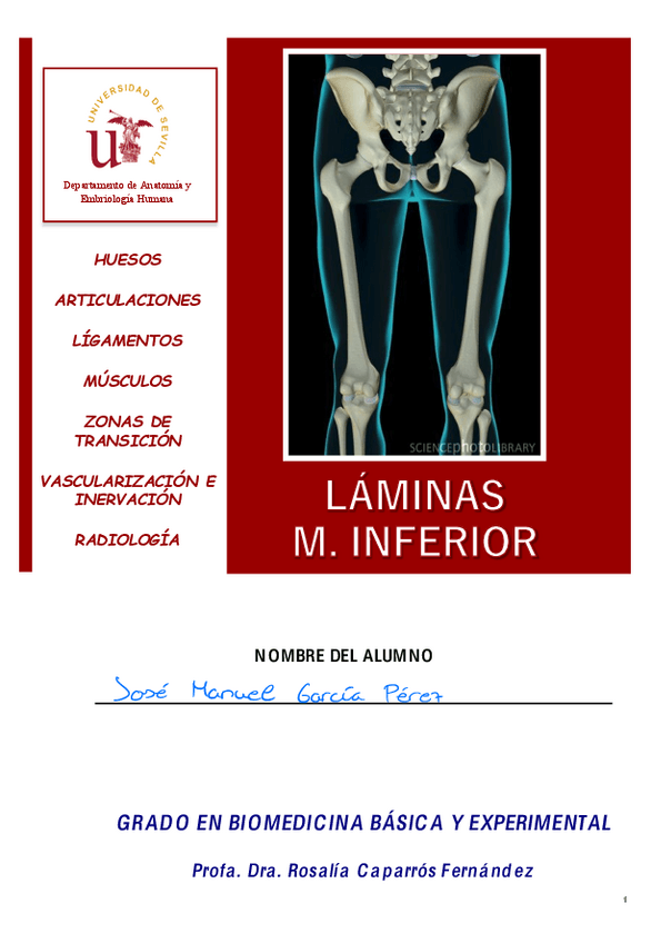 Miniatura del documento Laminas-2-Miembro-inferior.pdf