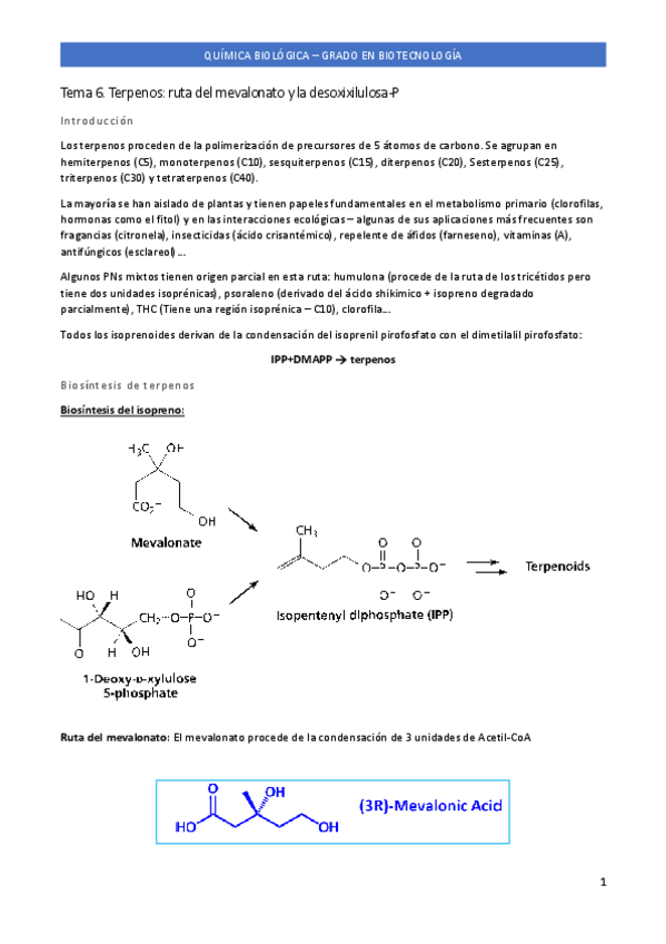 Miniatura del documento Tema-6.pdf