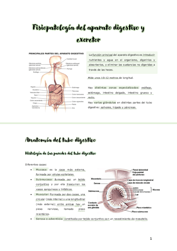 Miniatura del documento UNIDAD-10-APARATO-DIGESTIVO-.pdf