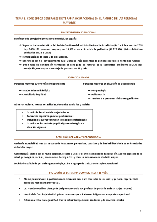 Miniatura del documento RESUMEN-MAYORES.pdf