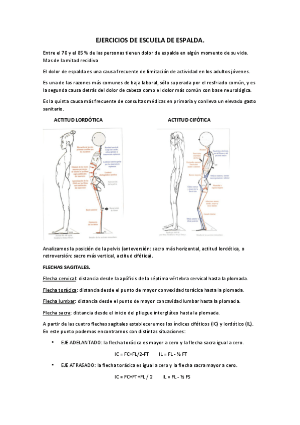 Miniatura del documento EJERCICIOS-DE-ESCUELA-DE-ESPALDA.pdf